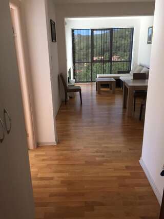 Апартаменты Apartment Anja Свети-Стефан Апартаменты с 2 спальнями-8